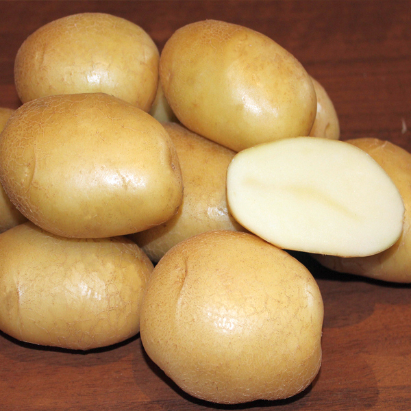 Картофель семенной Крепыш (класс А) Иркутск  (уп.4,5кг)