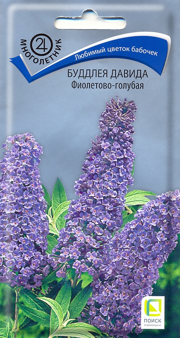 Буддлея Давида Фиолетово-голубая  Поиск 0,01гр