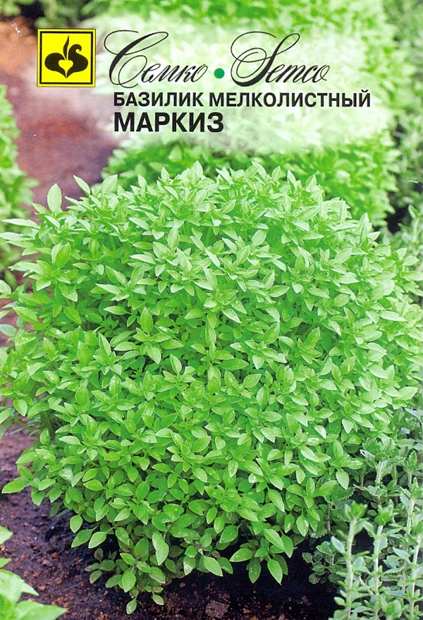 Базилик Маркиз 1г  зеленый